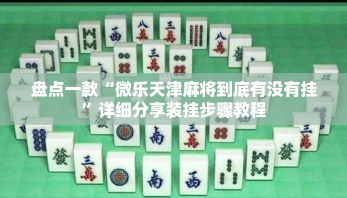 盘点一款“微乐天津麻将到底有没有挂”详细分享装挂步骤教程