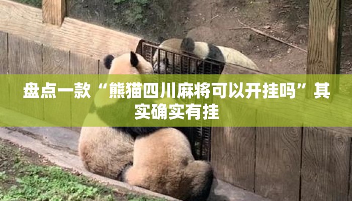 盘点一款“熊猫四川麻将可以开挂吗”其实确实有挂