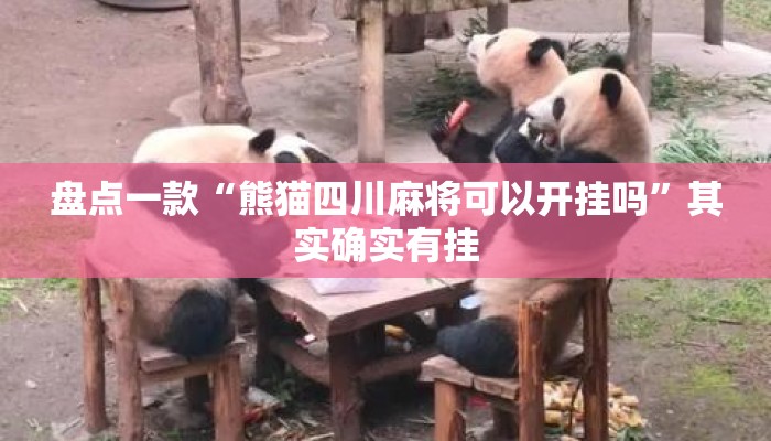 盘点一款“熊猫四川麻将可以开挂吗	”其实确实有挂