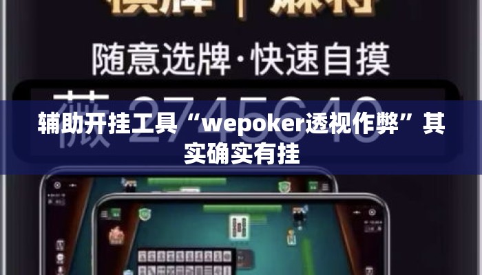 辅助开挂工具“wepoker透视作弊”其实确实有挂