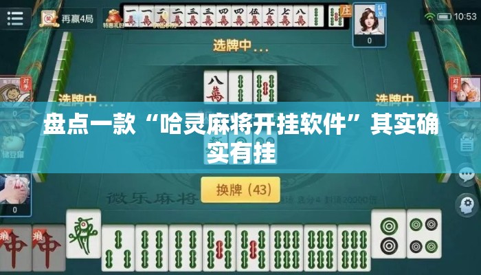 盘点一款“哈灵麻将开挂软件”其实确实有挂