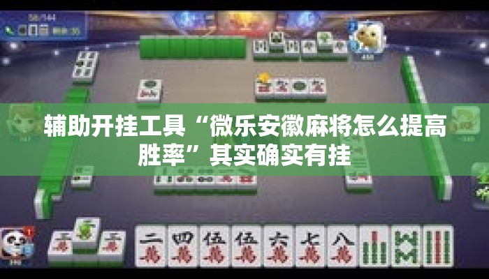 辅助开挂工具“微乐安徽麻将怎么提高胜率”其实确实有挂