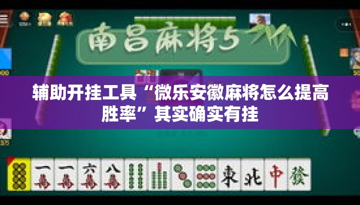 辅助开挂工具“微乐安徽麻将怎么提高胜率”其实确实有挂