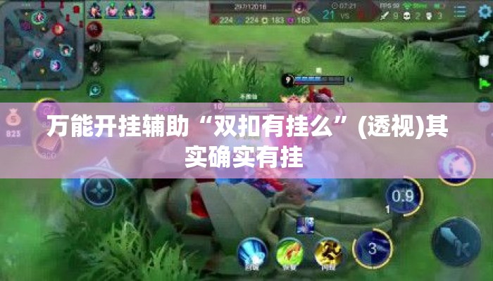 万能开挂辅助“双扣有挂么”(透视)其实确实有挂 