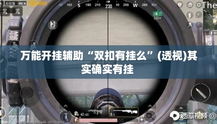 万能开挂辅助“双扣有挂么”(透视)其实确实有挂 
