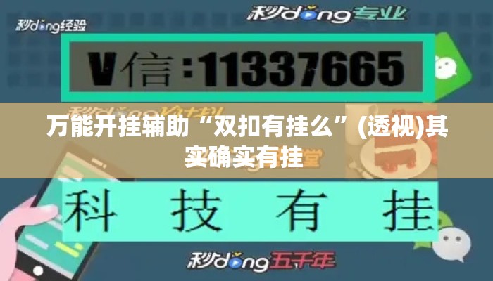 万能开挂辅助“双扣有挂么”(透视)其实确实有挂 