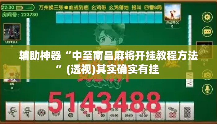 辅助神器“中至南昌麻将开挂教程方法”(透视)其实确实有挂 