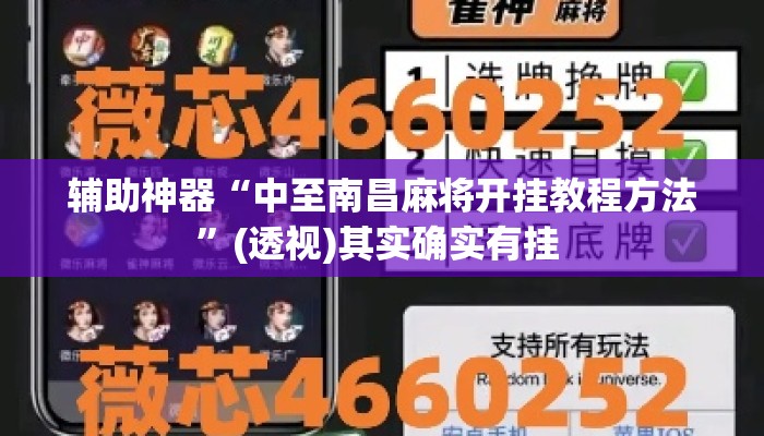 辅助神器“中至南昌麻将开挂教程方法”(透视)其实确实有挂 