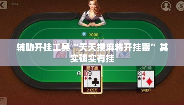 辅助开挂工具“天天摸麻将开挂器	”其实确实有挂