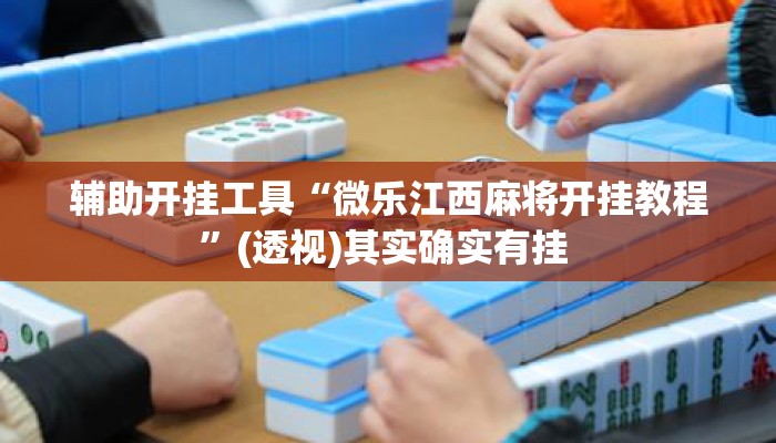 辅助开挂工具“微乐江西麻将开挂教程”(透视)其实确实有挂 