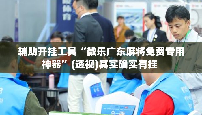 辅助开挂工具“微乐广东麻将免费专用神器	”(透视)其实确实有挂 