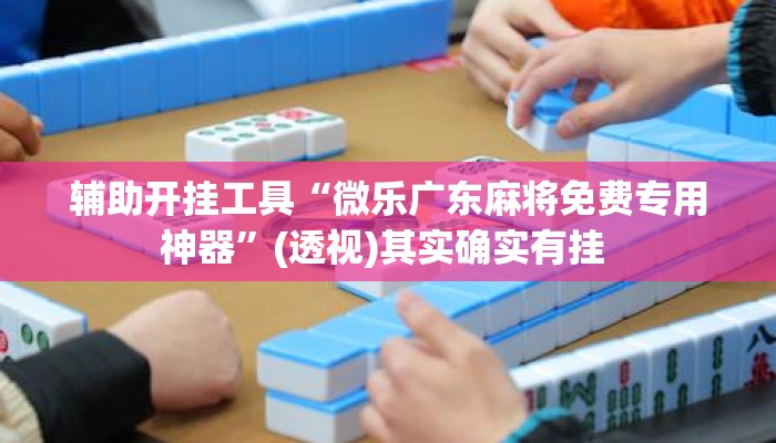 辅助开挂工具“微乐广东麻将免费专用神器”(透视)其实确实有挂 