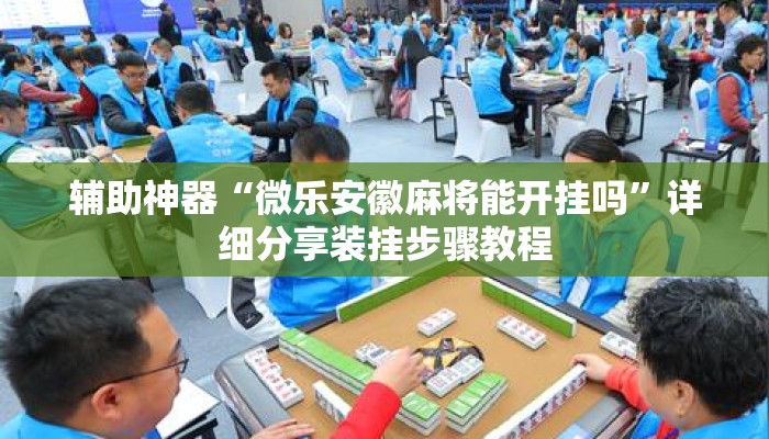 辅助神器“微乐安徽麻将能开挂吗”详细分享装挂步骤教程