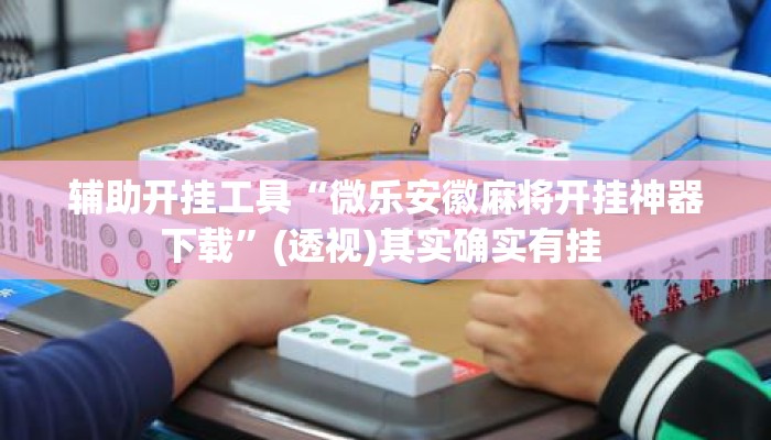 辅助开挂工具“微乐安徽麻将开挂神器下载”(透视)其实确实有挂 