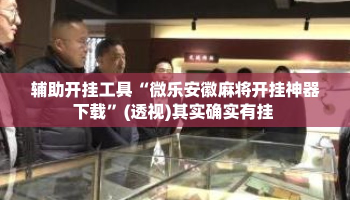 辅助开挂工具“微乐安徽麻将开挂神器下载	”(透视)其实确实有挂 