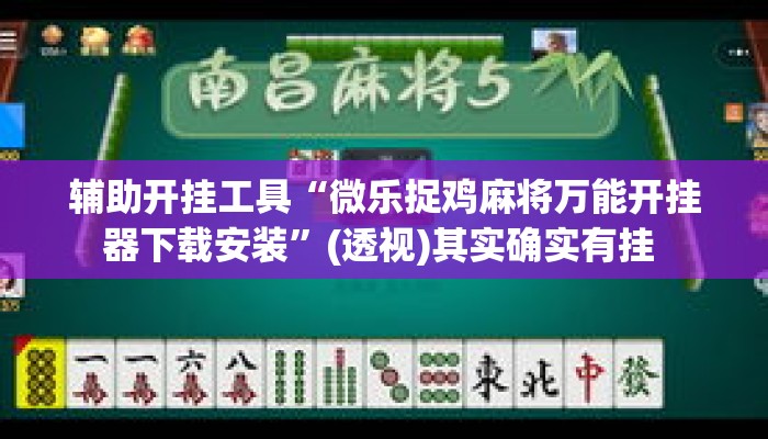 辅助开挂工具“微乐捉鸡麻将万能开挂器下载安装”(透视)其实确实有挂 