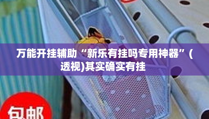 万能开挂辅助“新乐有挂吗专用神器”(透视)其实确实有挂 