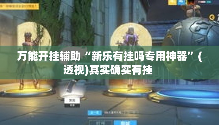 万能开挂辅助“新乐有挂吗专用神器	”(透视)其实确实有挂 