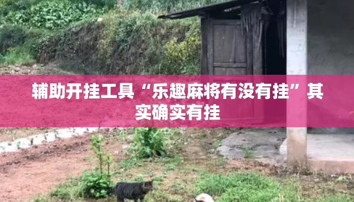 辅助开挂工具“乐趣麻将有没有挂”其实确实有挂