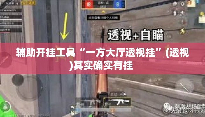 辅助开挂工具“一方大厅透视挂”(透视)其实确实有挂 