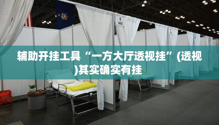 辅助开挂工具“一方大厅透视挂”(透视)其实确实有挂 