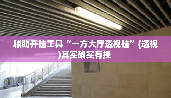 辅助开挂工具“一方大厅透视挂	”(透视)其实确实有挂 