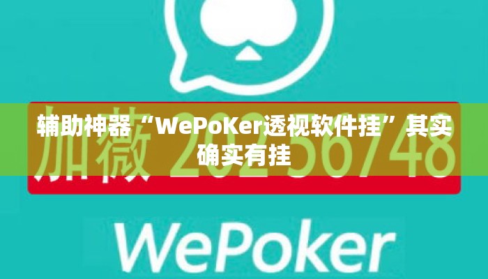 辅助神器“WePoKer透视软件挂	”其实确实有挂