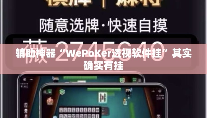 辅助神器“WePoKer透视软件挂”其实确实有挂