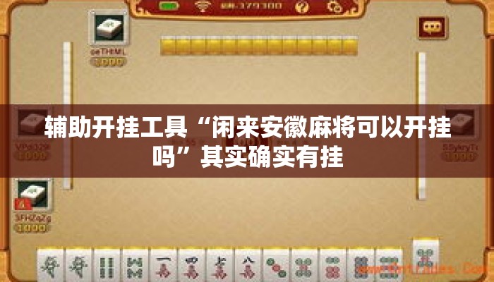 辅助开挂工具“闲来安徽麻将可以开挂吗	”其实确实有挂