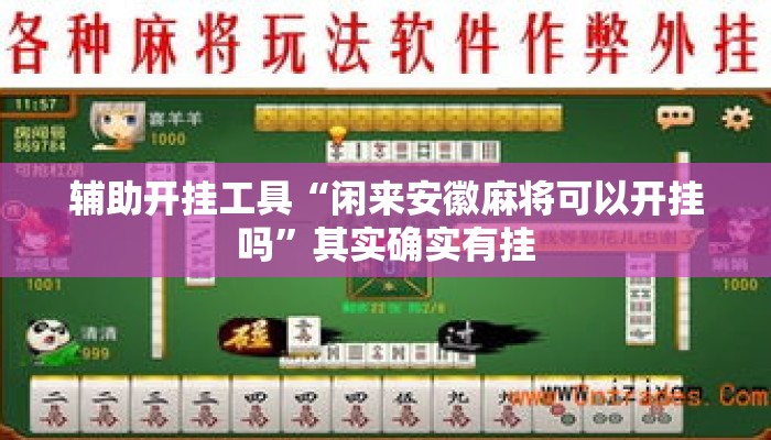 辅助开挂工具“闲来安徽麻将可以开挂吗”其实确实有挂