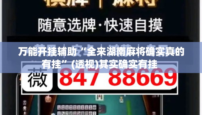 万能开挂辅助“全来湖南麻将确实真的有挂”(透视)其实确实有挂 