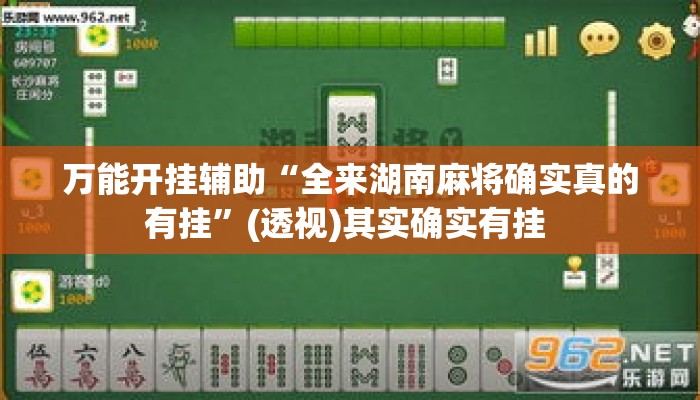 万能开挂辅助“全来湖南麻将确实真的有挂”(透视)其实确实有挂 