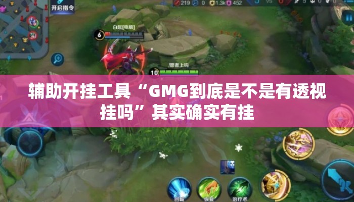 辅助开挂工具“GMG到底是不是有透视挂吗”其实确实有挂
