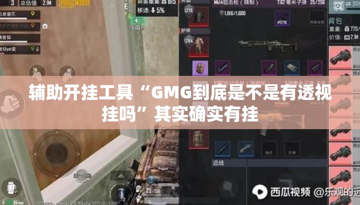 辅助开挂工具“GMG到底是不是有透视挂吗	”其实确实有挂