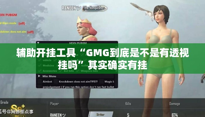 辅助开挂工具“GMG到底是不是有透视挂吗	”其实确实有挂