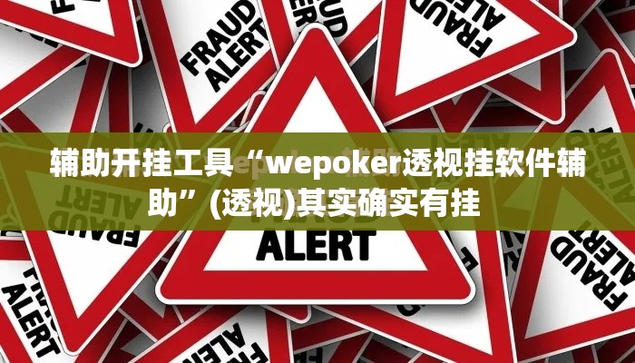 辅助开挂工具“wepoker透视挂软件辅助”(透视)其实确实有挂 