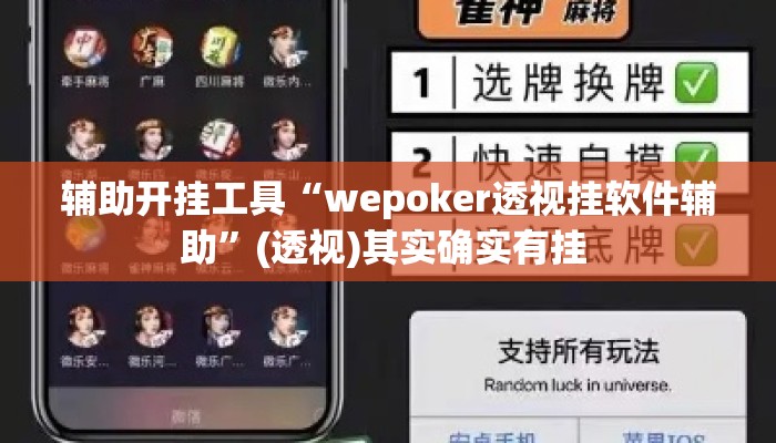 辅助开挂工具“wepoker透视挂软件辅助”(透视)其实确实有挂 