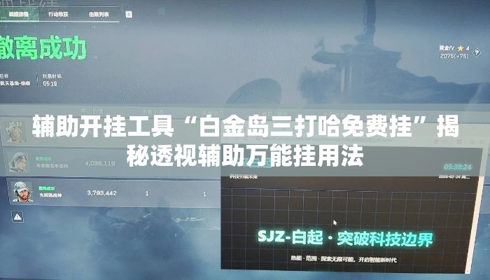辅助开挂工具“白金岛三打哈免费挂”揭秘透视辅助万能挂用法