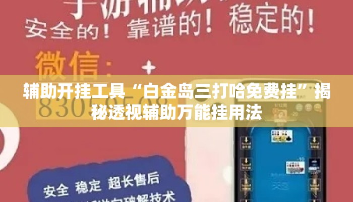 辅助开挂工具“白金岛三打哈免费挂”揭秘透视辅助万能挂用法