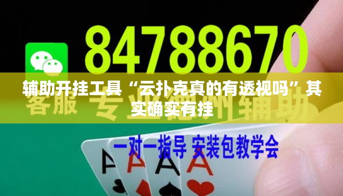辅助开挂工具“云扑克真的有透视吗	”其实确实有挂