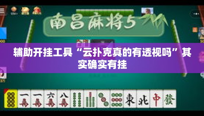 辅助开挂工具“云扑克真的有透视吗”其实确实有挂