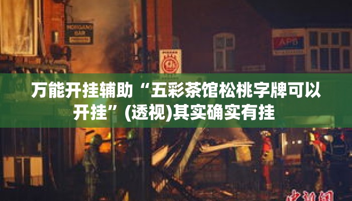 万能开挂辅助“五彩茶馆松桃字牌可以开挂	”(透视)其实确实有挂 