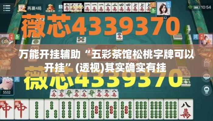 万能开挂辅助“五彩茶馆松桃字牌可以开挂”(透视)其实确实有挂 