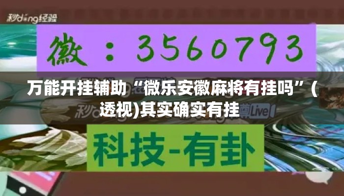 万能开挂辅助“微乐安徽麻将有挂吗”(透视)其实确实有挂 