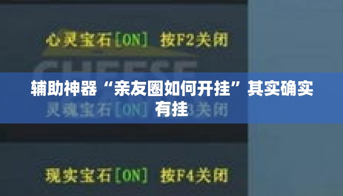 辅助神器“亲友圈如何开挂”其实确实有挂