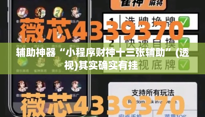 辅助神器“小程序财神十三张辅助	”(透视)其实确实有挂 