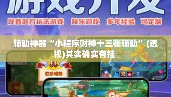 辅助神器“小程序财神十三张辅助”(透视)其实确实有挂 