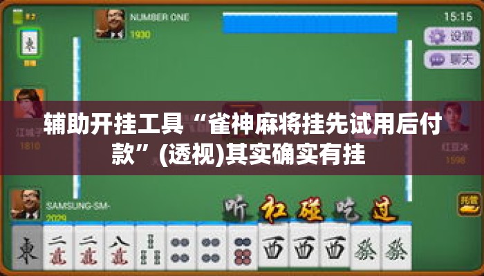 辅助开挂工具“雀神麻将挂先试用后付款”(透视)其实确实有挂 