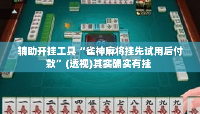 辅助开挂工具“雀神麻将挂先试用后付款”(透视)其实确实有挂 