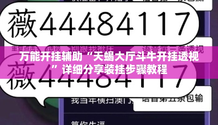 万能开挂辅助“天蝎大厅斗牛开挂透视”详细分享装挂步骤教程